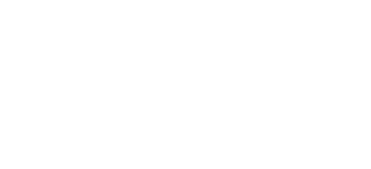 Логотип белый